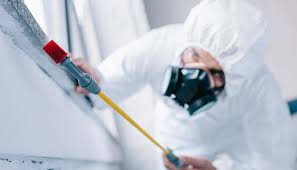 Best Termite Inspection and Treatment  in Pike Road, AL